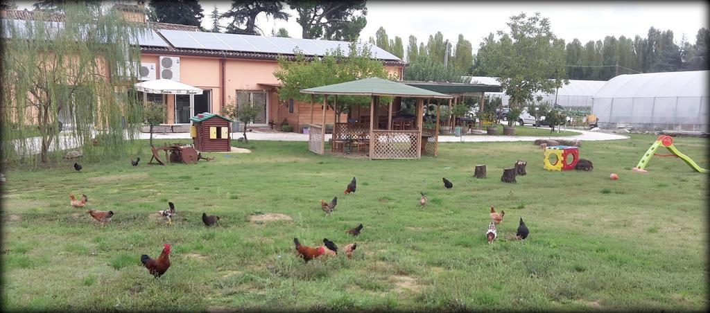 Agriturismo Perugini Bed & Breakfast Cesena Exterior photo